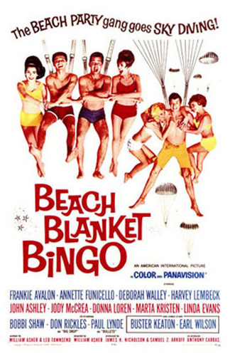  playa Blanket Bingo