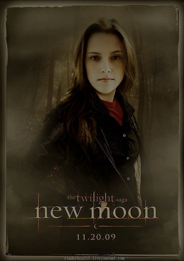 http://images2.fanpop.com/images/photos/6900000/Bella-New-Moon-twilight-series-6958140-600-850.jpg