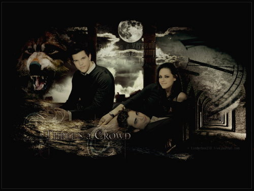  Jacob,Bella & Edward-New Moon
