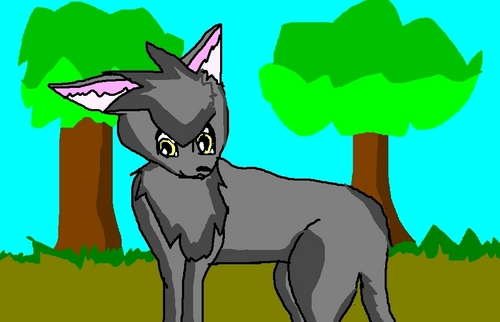 My entry for FGT2009- A warrior cat I drew!
