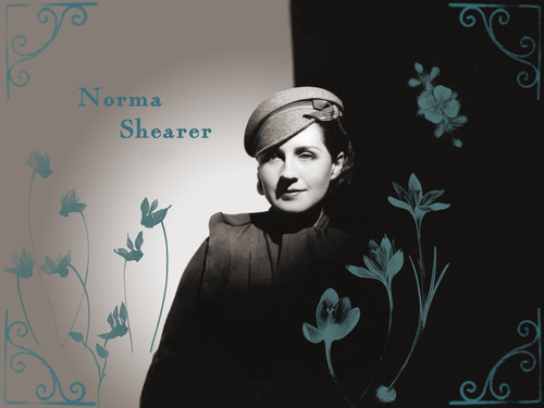  Norma