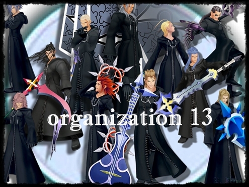 Organazation Xlll