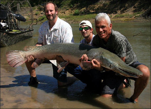 River Monsters 