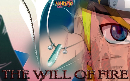  The will of feuer