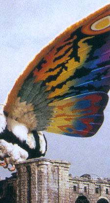  pelangi, rainbow mothra