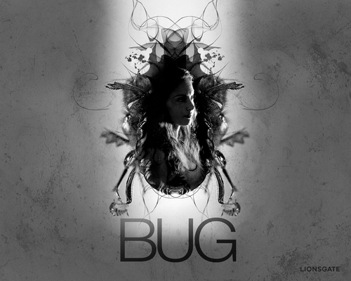  Bug