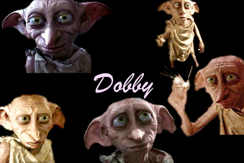  Dobby 壁纸