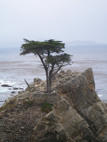  Monterey