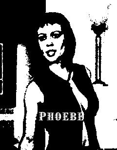  Phoebe