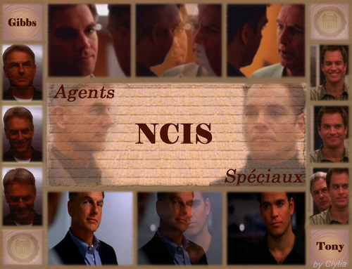 for NCIS fans