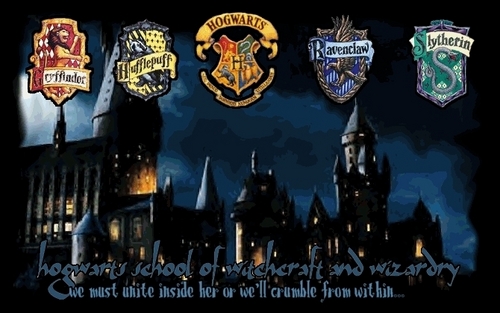  hoggy warty hogwarts!