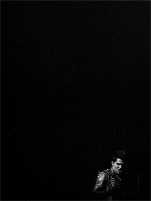  Adam Performing at San Jose concerto