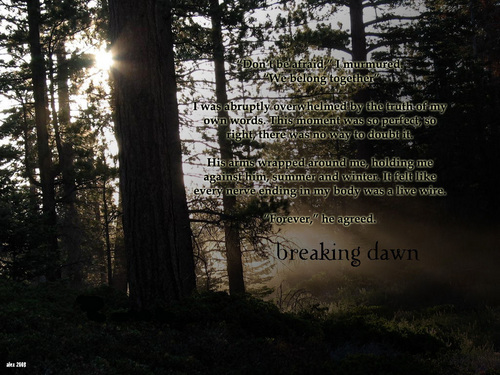 Breaking Dawn