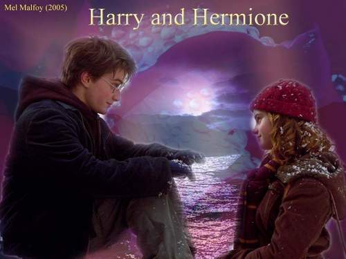  Hermione and Harry