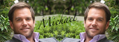  Micheal Weatherly NCIS 〜ネイビー犯罪捜査班