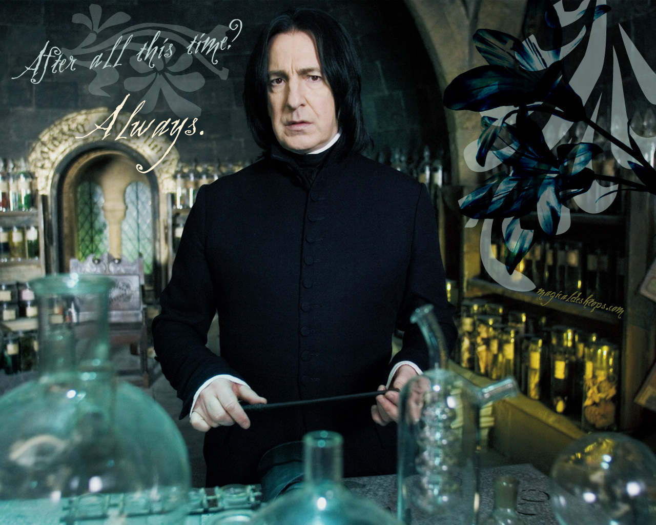 Severus Snape hbp