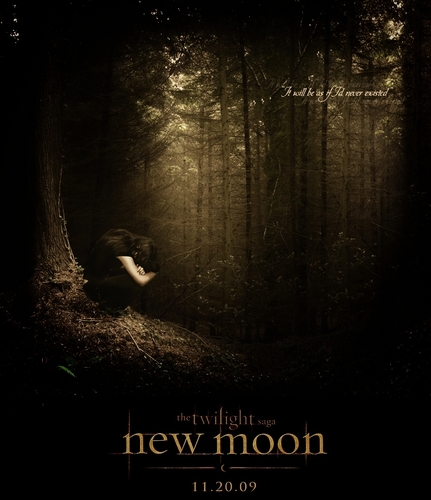  Twilight Saga Posters
