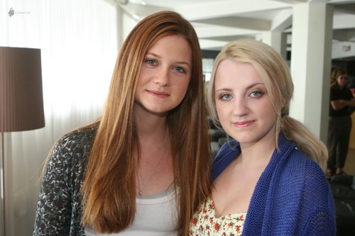  "Harry Potter and the Half Blood Prince" Denmark Photocall