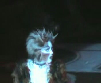 Cats Musical Stage Photos