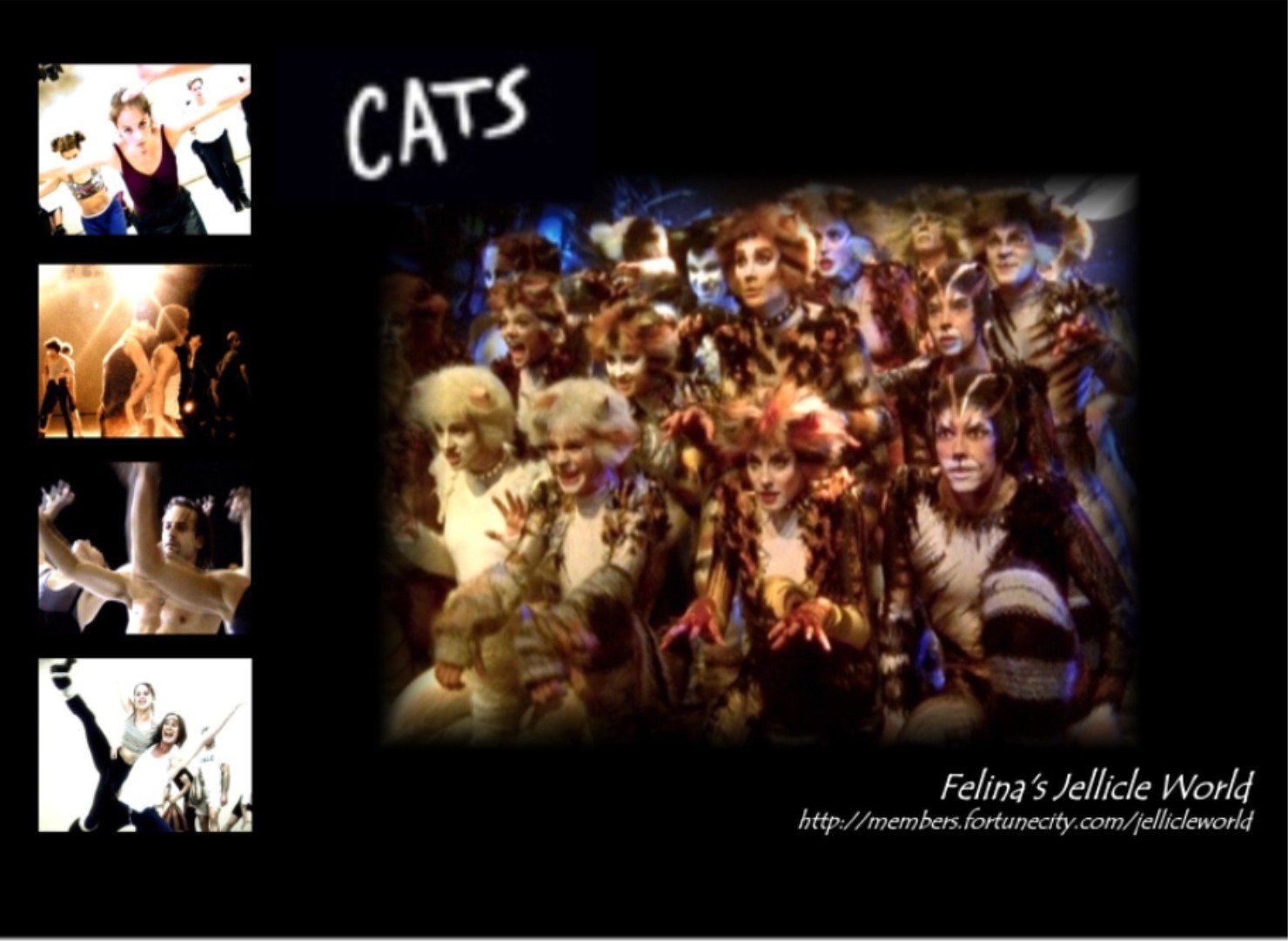 Cats Musical wall papers 