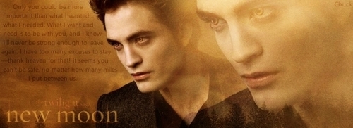  Edward Cullen New Moon Banner