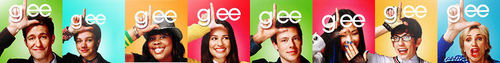  Glee Banner