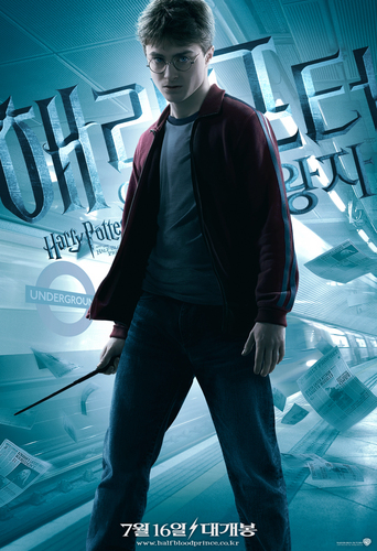 Harry Potter And The Half-Blood Prince /Poster