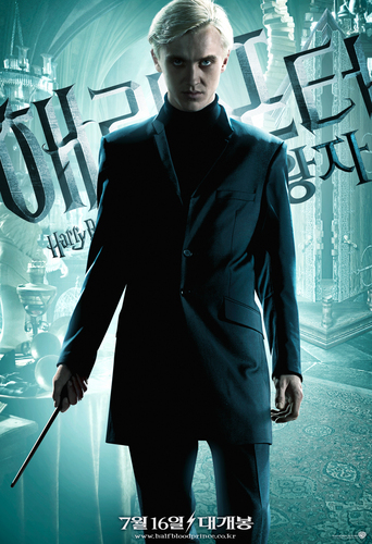  Harry Potter And The Half-Blood Prince /Poster