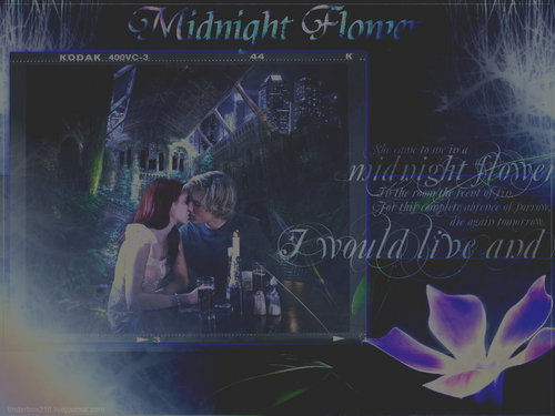  Midnight flor