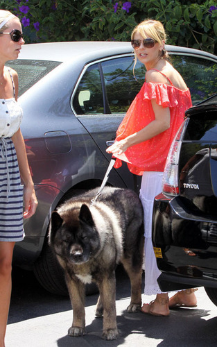 Sarah taking dog to the vetenarian' office on Wednesday July 22