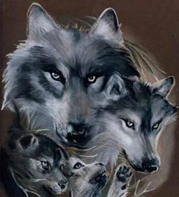 The wolf spirit - WolfPack Photo (7225736) - Fanpop