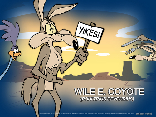  Wile E Coyote ... BEEP BEEP