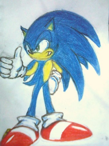  sonic wit the long hair style