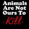  Animal Abuse