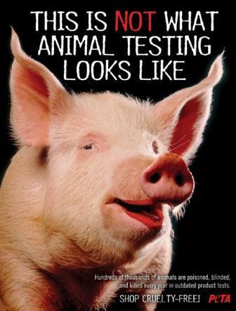  animais are not ours for experiments