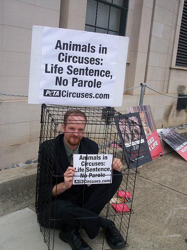  animais are not ours to use for entertainment