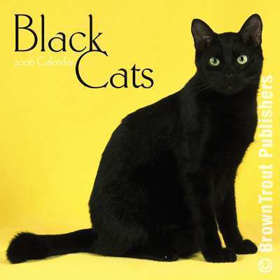  Black mèo