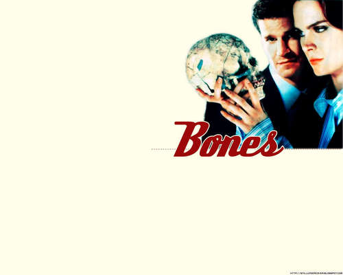  Booth And bones <3