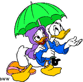  Donald and madeliefje, daisy