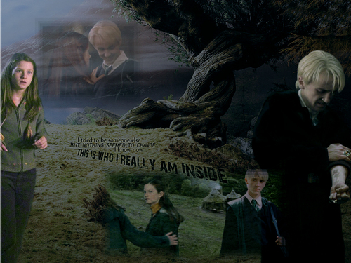  Draco-Ginny