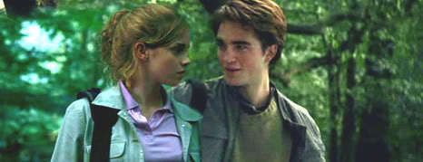  Hermione and Cedric