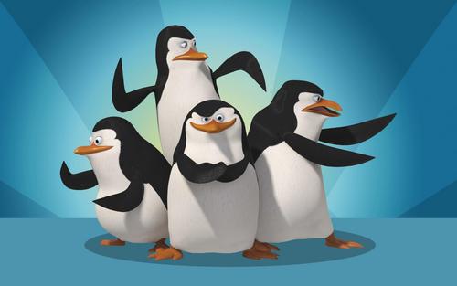  Penguins of madagascar fond d’écran