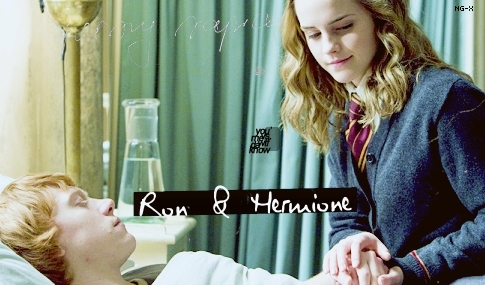  Ron/Hermione in HBP
