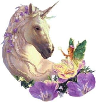  Unicorn and Fairy