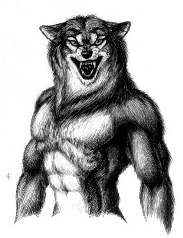 Werewolf Drawings 