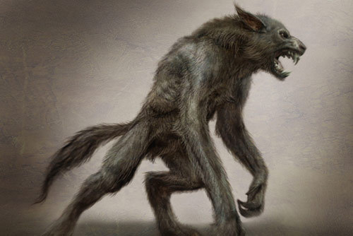  Werewolf Drawings