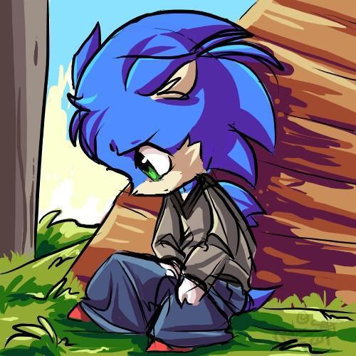 cute litle sonic Warning:this is so cute that you will die