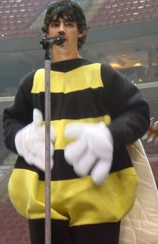  joe as a bee