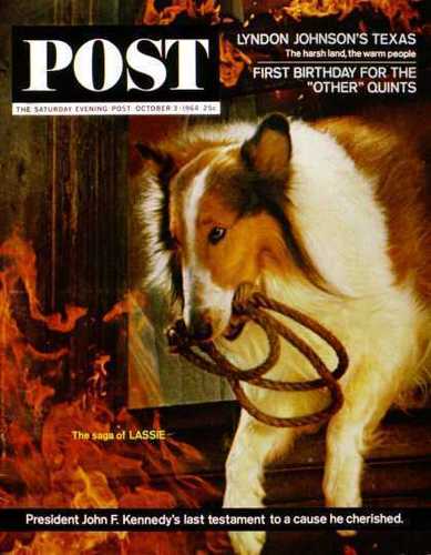 Lassie - cover of Saturday Evening Post