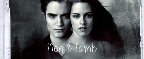  New Moon Banners
